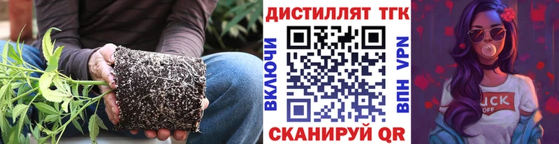 ТГК вейп с тгк  kraken   Дубна  продажа наркотиков 