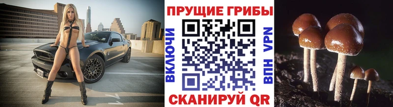 купить закладку Дубна гидра зеркало Псилоцибиновые грибы MAGIC MUSHROOMS
